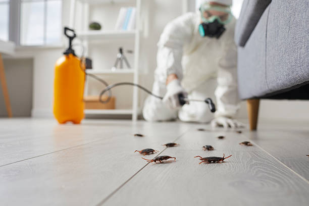 Post-Treatment Bed Bug Interceptor Monitoring in Brownsboro