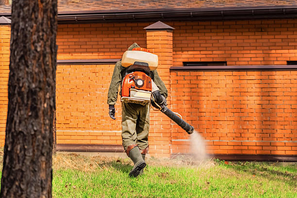 Bed Bug Clearance Verification and Documentation in Brownsboro